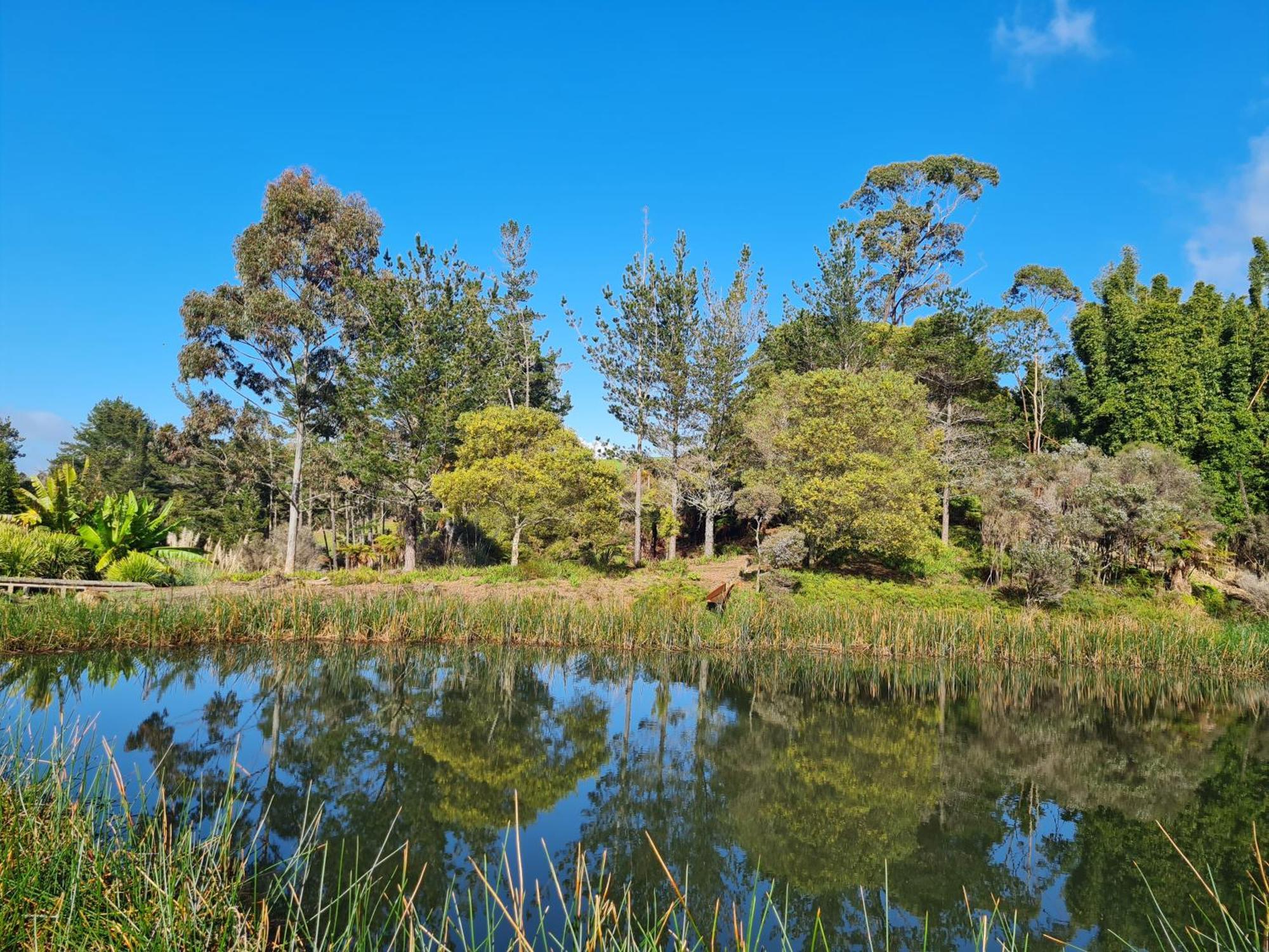 Dragonfly Barn - Kerikeri Βίλα Εξωτερικό φωτογραφία
